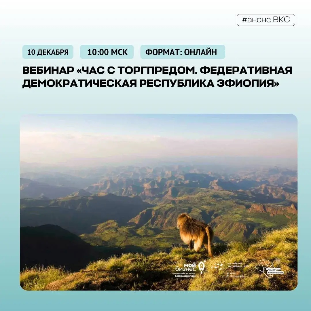 Рисунок: /ru/v-pom-investoru/files/02022024.png